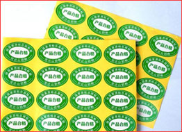 �����z��(bi��o)��