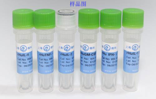 �w���\��ԇ�����b�C(j��)