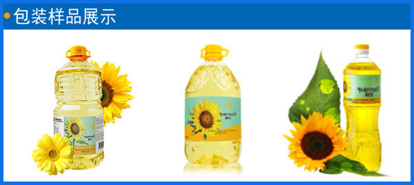 全自動葵花油加工設(shè)備