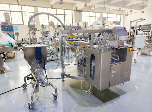 給袋式調(diào)味醬包裝機(jī)